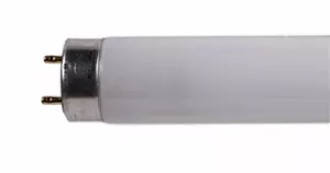 Product thumbnail Philips | TL-D | 10W | UV-A | Actinic | 330mm | Voor insectenvallen