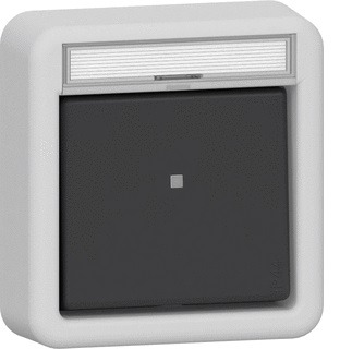 Product thumbnail Gira Spatwaterdichte Pulsschakelaar (bovenkap)
