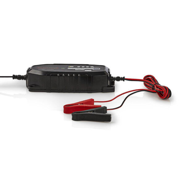 Loodzuuracculader | 6 / 12 / 12.8 V DC | Batterijtype: AGM / Gel / Loodzwavel / SLA / VRLA - Afbeelding 8