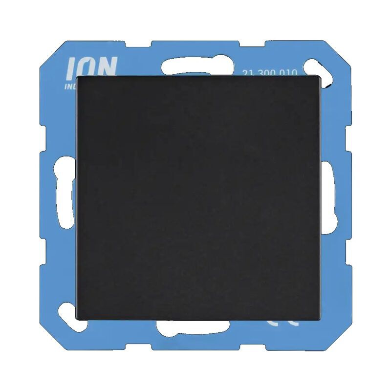 Product thumbnail ION industries blindplaat - V1 zwart mat