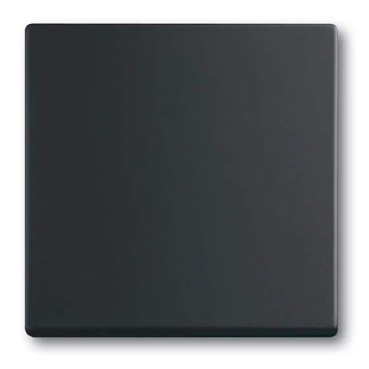 Product thumbnail Busch-Jaeger Schakelwip 1-voudig Future Linear Mat Zwart