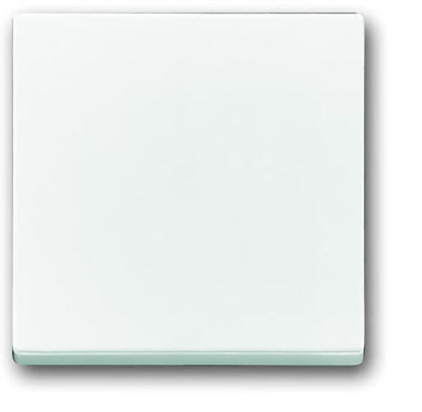 Busch-Jaeger Schakelwip 1-voudig Future Linear Glans Wit
