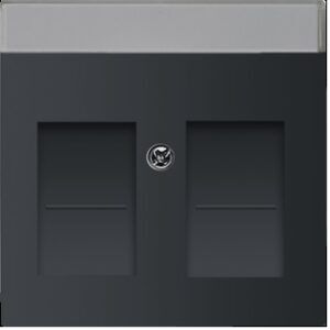 Busch-Jaeger Centraalplaat RJ45 2-voudig Future Linear Mat Zwart