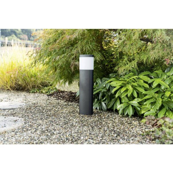 CAMELLA LED TUINLAMP STAAND 11W 900LM - Afbeelding 2