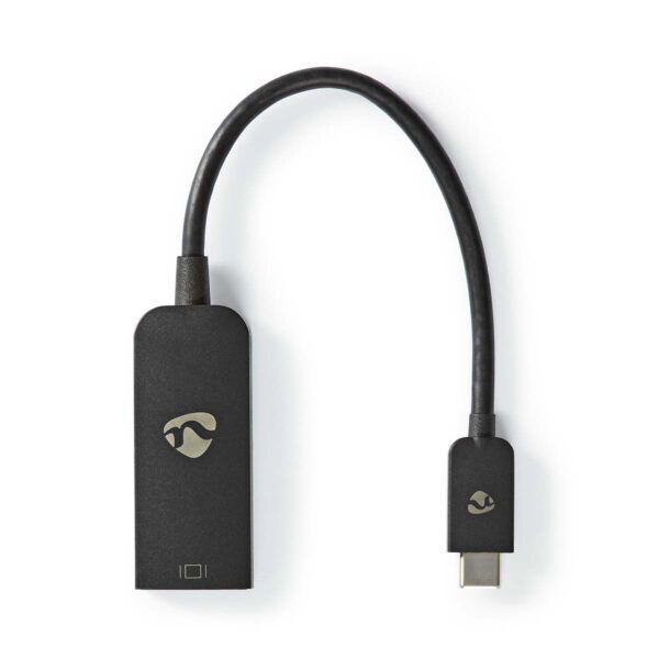 USB-C 3.2 Gen1 Adapter | USB-C Male | DisplayPort Female | 0.20 meter - Afbeelding 2