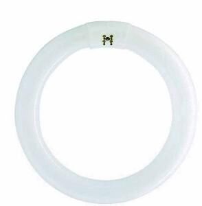 Product thumbnail Osram 22W ronde TL-buis 2700K 216mm Lumilux Interna
