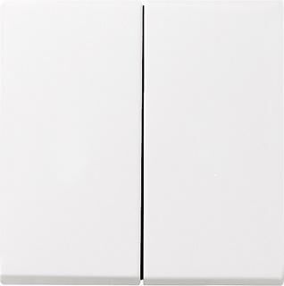 Product thumbnail Gira ST55 bedieningstoets dubbel zuiver wit