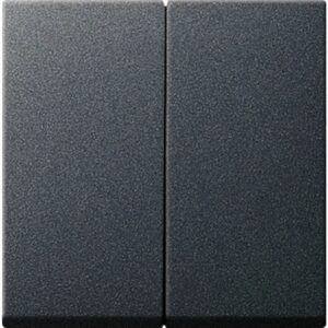 Gira ST55 bedieningstoets tweevoudig mat antraciet "oud model"