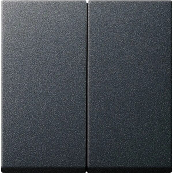 Gira ST55 bedieningstoets tweevoudig mat antraciet