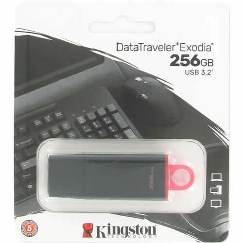 Product thumbnail Kingston DataTraveler Exodia 256GB USB Stick