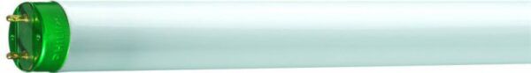 Philips Master TL-D ECO 16W 830 Warm Wit 590mm - Afbeelding 2