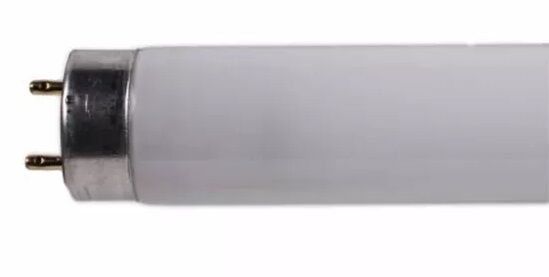 Product thumbnail Philips TL-D 18W 10 UV-A -insect actinic 590mm