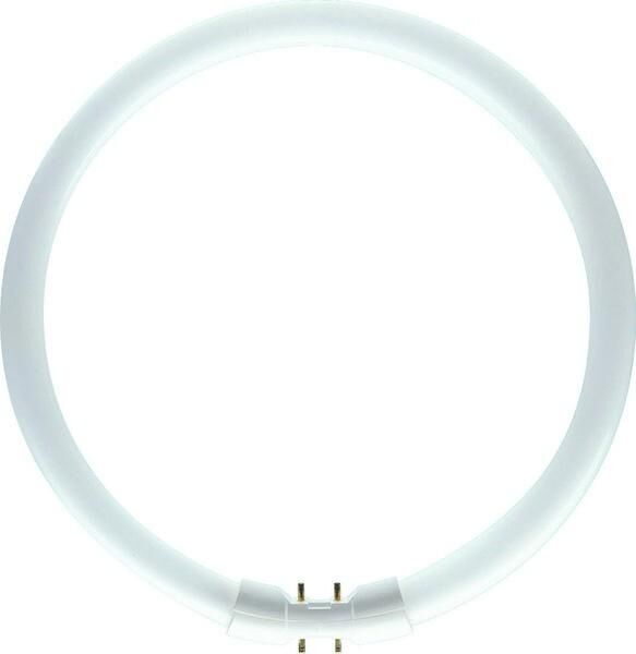 Product thumbnail Philips TL5 buis rond Circular 22W 830