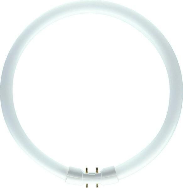Product thumbnail Philips TL5 buis rond Circular 22W 840
