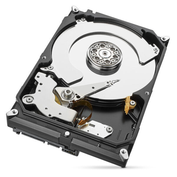 Seagate Surveillance Skyhawk 1TB 3.5" HDD - Afbeelding 2