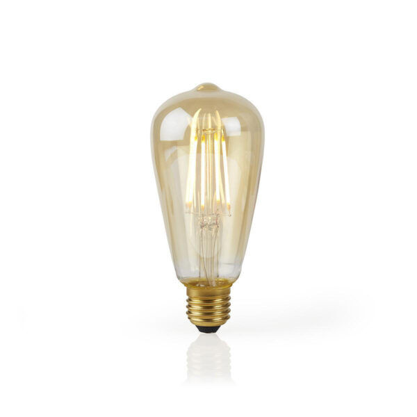Wi-Fi smart Filament LED-lamp | E27 | ST64 | 5 W | 500 lm