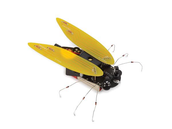 Product thumbnail ELEKTRONISCHE CICADE (SOLDEERKIT)