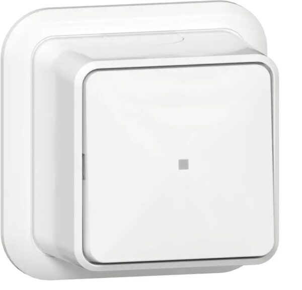 Gira zuiver wit opbouw 2 polige schakelaar controle lamp
