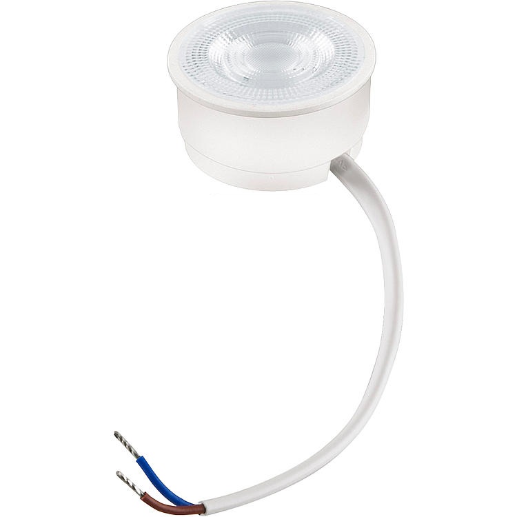 Product thumbnail EVN LED-coin 4.9W dimbaar 230V 2700K helder 50mm